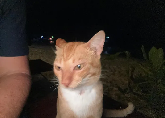 Ferienwohnung Garzau-Garzin Apartamento *